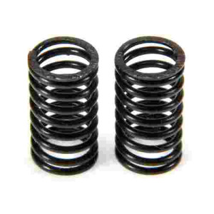 PN0125 VALVE SPRING SET F91S