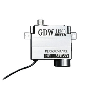 GDW H200 Servo per Fly Wing FW200